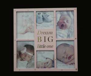 dream big pink 1699.jpg