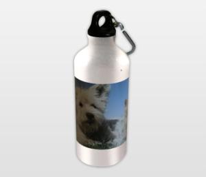 WaterBottleAluminiumIcon.jpg